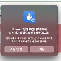 맥로컬네트워크허용