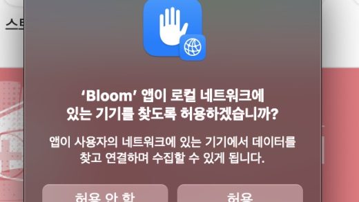 맥로컬네트워크허용